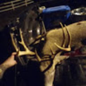 Meet your Posher, Brent